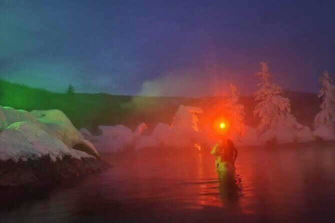 Chena Hot Spring Day Tour - What Makes Chena Hot Springs Special?