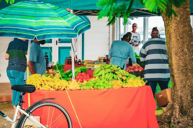 Cultural Walking Tour in Marigot, Saint-Martin - Who Should Consider This Tour?