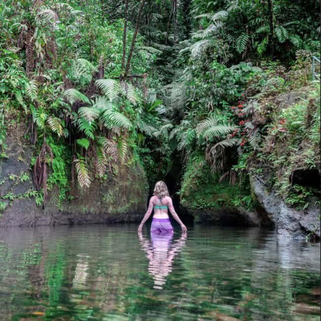 Dominica Waterfalls Chasing and Snorkeling Experience - Visiting Ti Tou Gorge