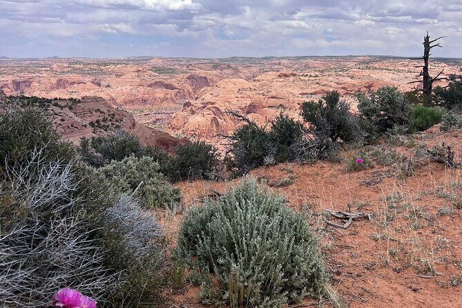 Eggshell Arch Day Tour - What Travelers Say