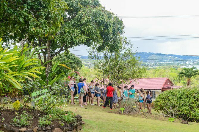 Essence of St Lucia Heritage Experience - Final Thoughts