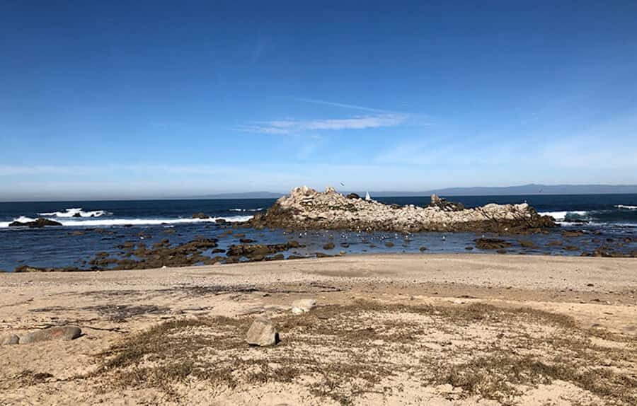 "Family Friendly" Scenic E-Bike Tour along 17 Mile Dr - Pricing and Value