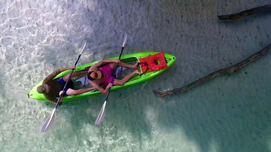 Florida: Rock Springs Run Clear Kayak Adventure - What to Expect on the Tour