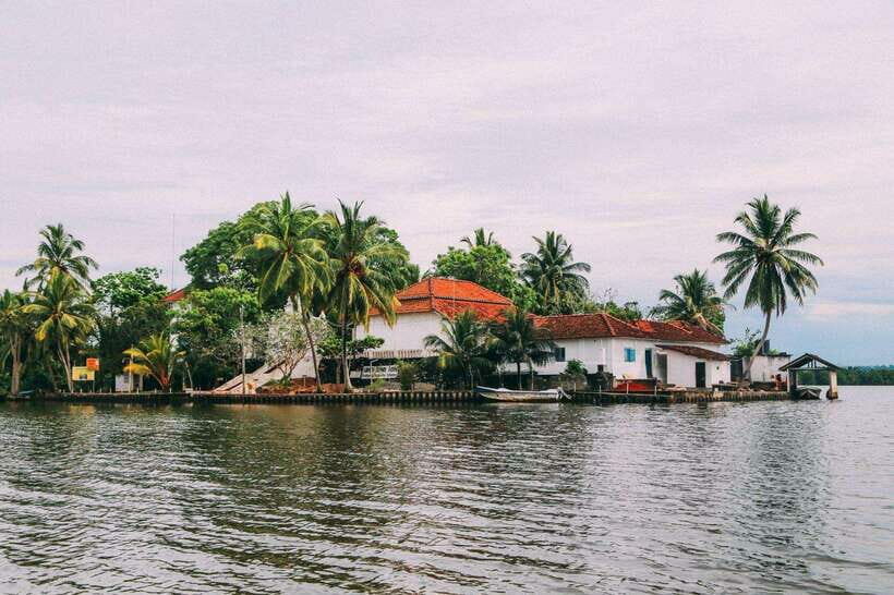 From Galle: Exclusive Madu River Safari & Turtle Hatchery - The Itinerary: A Deep Dive