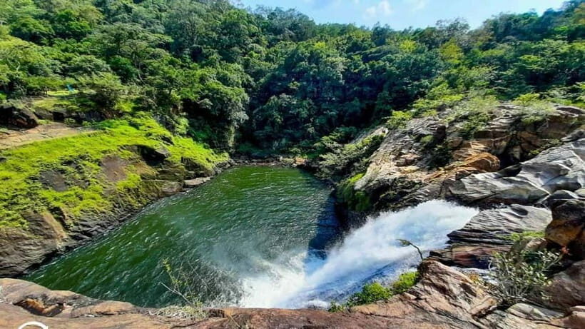 From Galle/Weligama/Mirissa/Matara: Day Trip to Sinharaja - What to Expect During the Tour