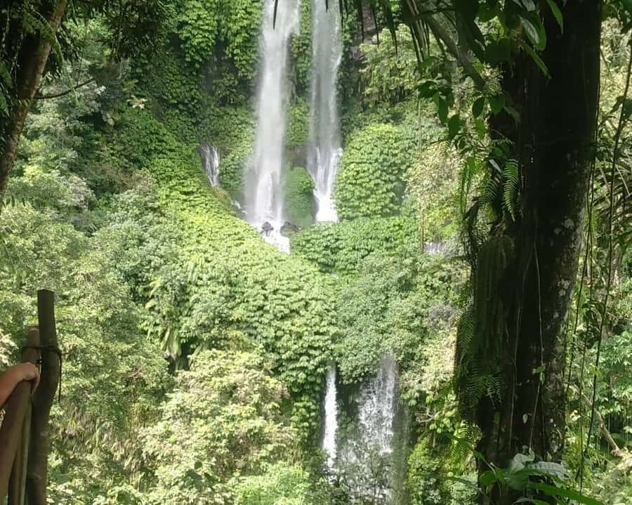 From Gili Island : Waterfalls and Traditional Village Tour - An In-Depth Look at the Tour Experience