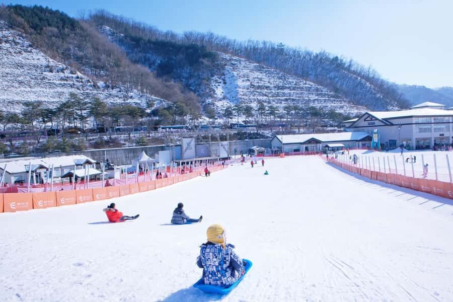 From Seoul: Elysian Ski Resort One Day Tour - Transport and Timing
