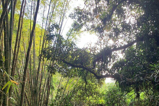Glide into adventure: Hiking and natural slides - The Sum Up