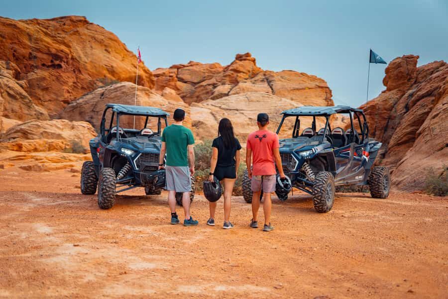Greater Zion: Dinosaur Tracks in the Desert UTV Tour - What Makes the Dinosaur Tracks So Special?