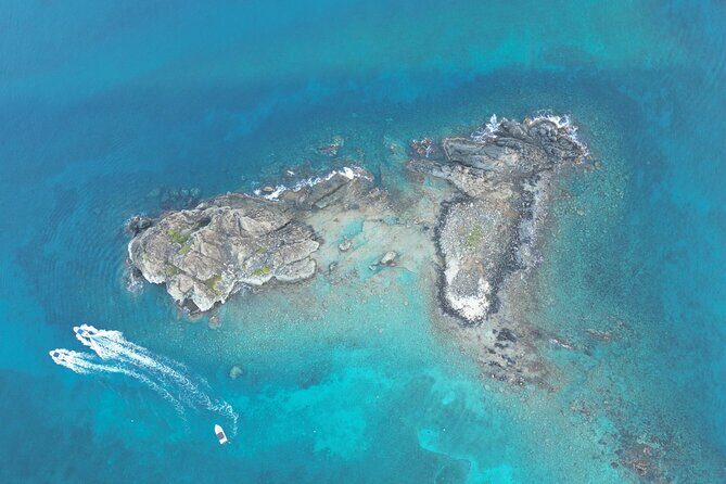 Half day snorkeling tour to Tintamarre islet - Who Will Love This Tour?