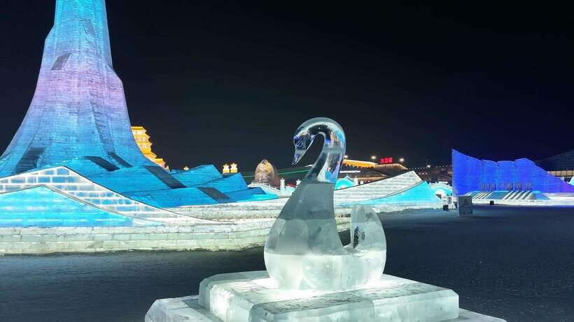 Harbin Ice and Snow Fairyland Private Day Tour - What’s Included and What to Consider