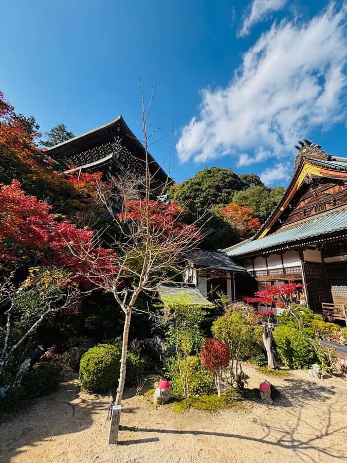 Hiroshima: Miyajima Private Tour with Ferry Ride - Who Should Choose This Tour?