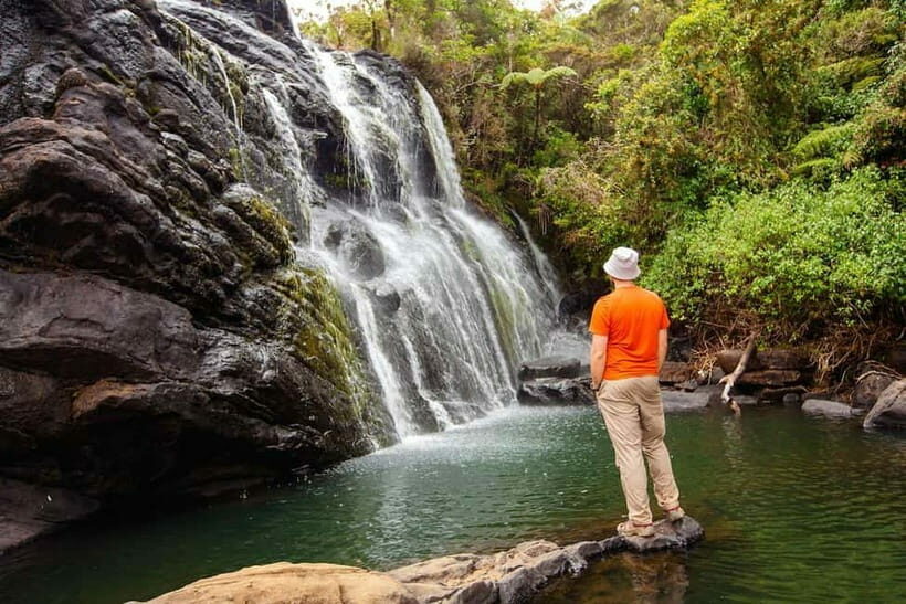 Horton Plains National Park From Nuwara Elia Tuk Tuk Tour - The Sum Up