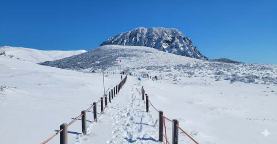 Jeju: HALLASAN National Park Guided Snow Climb (5hr_w/Gear) - Key Points to Remember