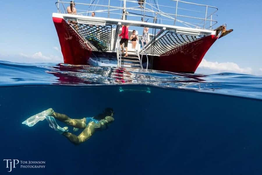 Kailua-Kona: Kealakekua Bay Snorkel and Sail with Lunch - The Scenic Sail Along Kona Coast