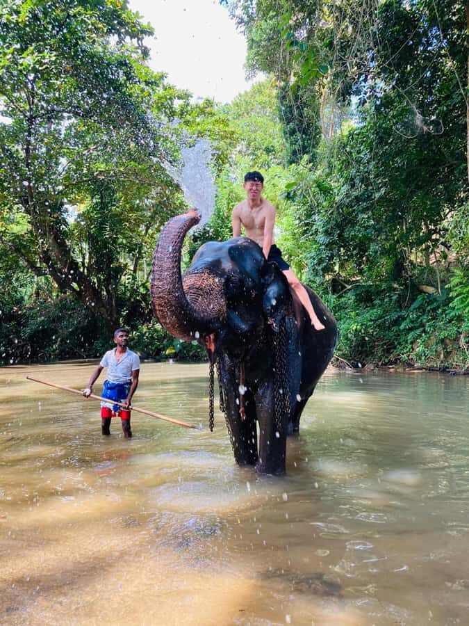 Kandy: Pinnawala & Ambuluwawa Tuk Tuk Adventure - Why This Tour Offers Good Value