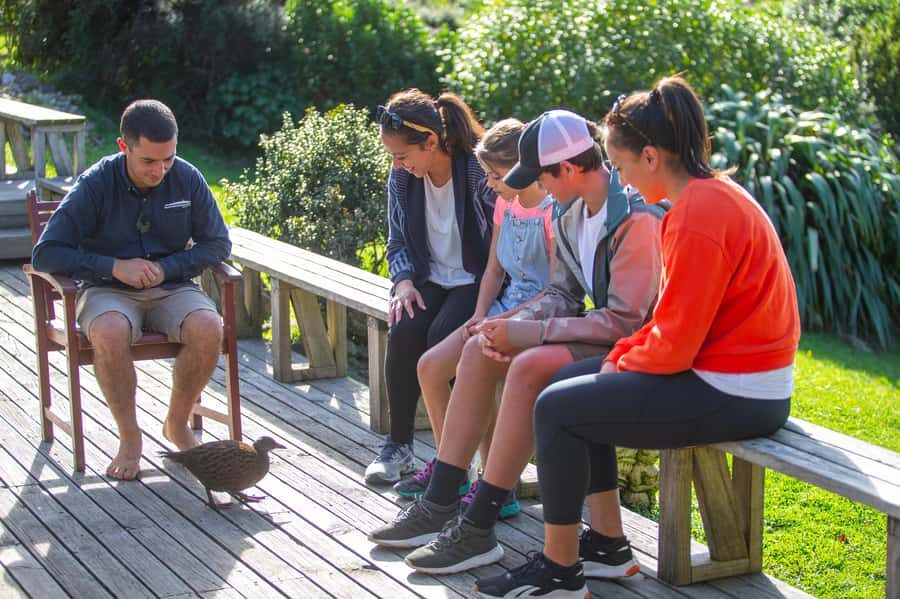 Kapiti Island: Classic Guided Day Tour - Authentic Experiences and Authenticity