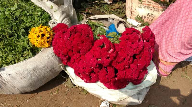 Kolkata: Half-Day Morning Tour w/ Flower Market - The Value of This Tour