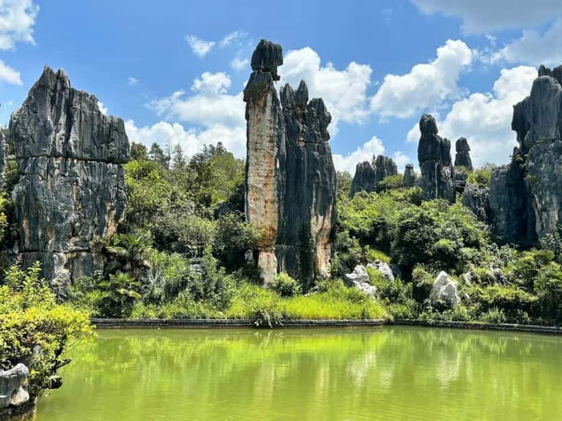 Kunming: Stone Forest, Roast Duck Lunch and City Tour - Lunch at Yiliang: A Culinary Highlight