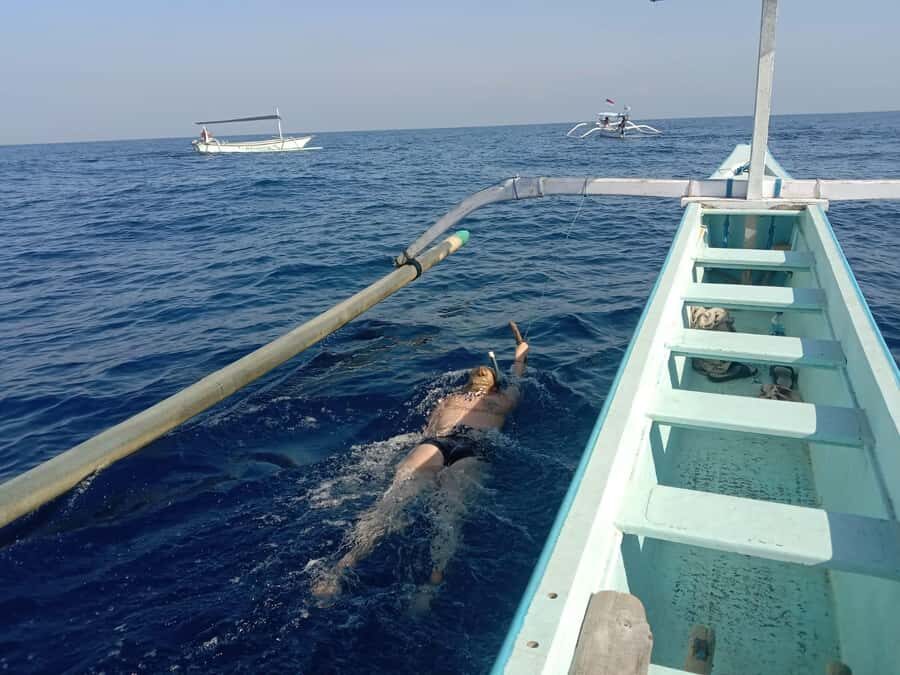 Lovina/BALI : SPECIAL Dolphin Watching,Swimming,Snorkeling - What to Expect from This Tour
