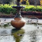 Melbourne and Moonlit Sanctuary Shore Excursion - Final Thoughts: Who Should Consider This Tour?