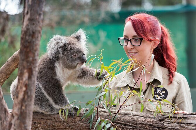 Melbourne Highlights and Aussie Wildlife Express Tour - Additional Stopping Points and Local Flavors