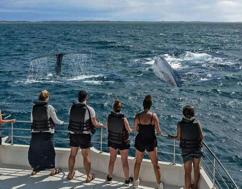 Mirissa: Whale Watching Cruise - Why Mirissa’s Whale Watching Experience Stands Out