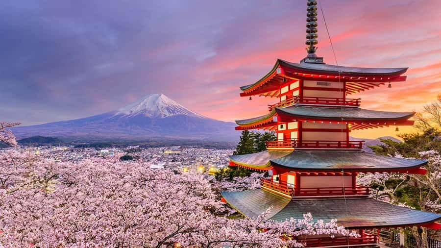 Mt. Fuji Top Spots Tour: Chureito Pagoda,Lake Views And More - Practical Details and What to Expect