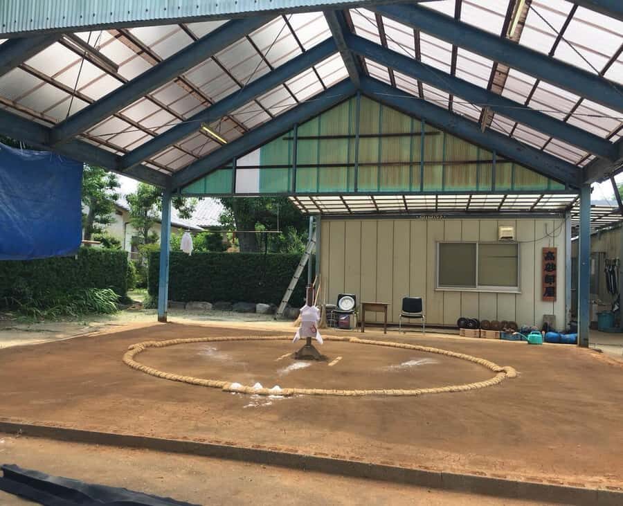 Nagoya: Visit Sumo Morning Practice with English Guide - What to Expect from the Sumo Morning Practice Tour