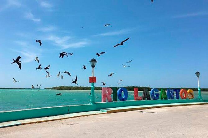 Natural Pink Lake Tour Las Coloradas only from Playa del Carmen - What’s Included and What’s Not