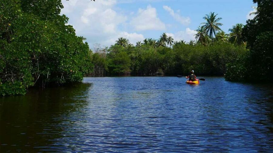 Negombo: Kayaking in the Lagoon - Practical Details and Tips