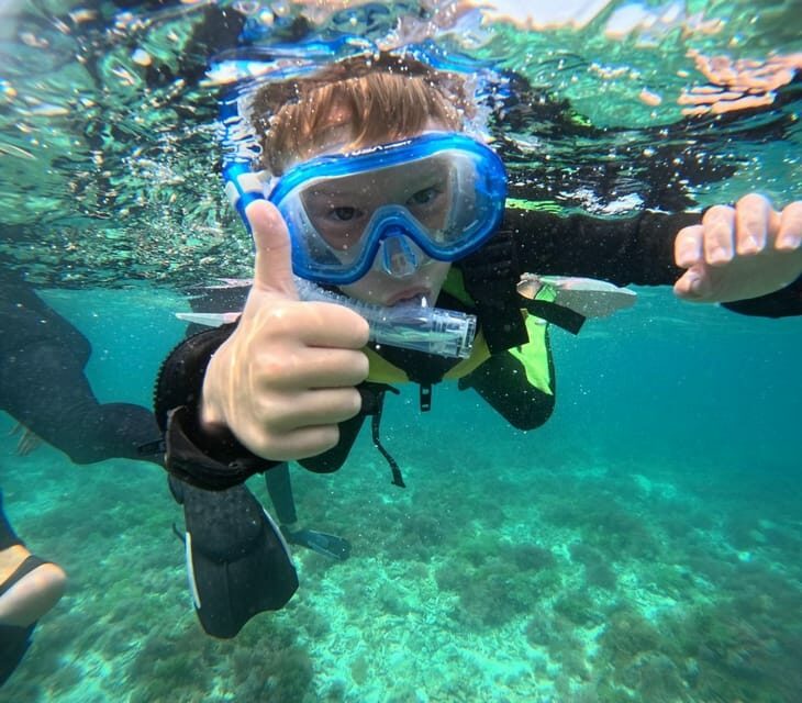 Okinawa Iriomotejima Night Adventure Tour - Final Thoughts: Is It Worth It?