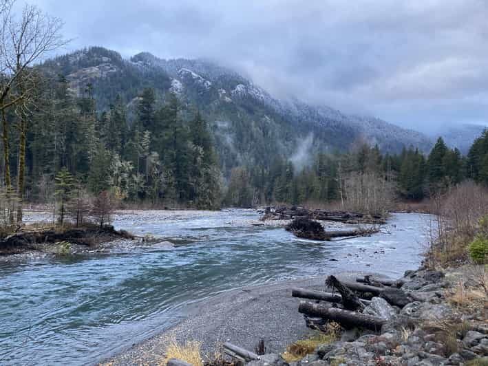 Olympic National Park: Half-Day Tour - Who Should Consider This Tour?