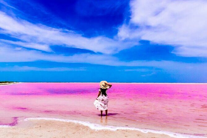 Pink Lake and Flamingo Sightseeing in Rio Lagartos - Who Should Consider This Tour?