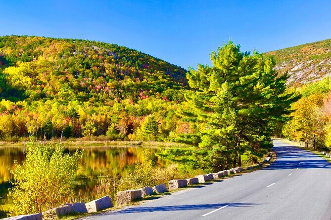 Private Acadia & Mount Desert Island Tour (full day, six hours) - What the Reviews Say