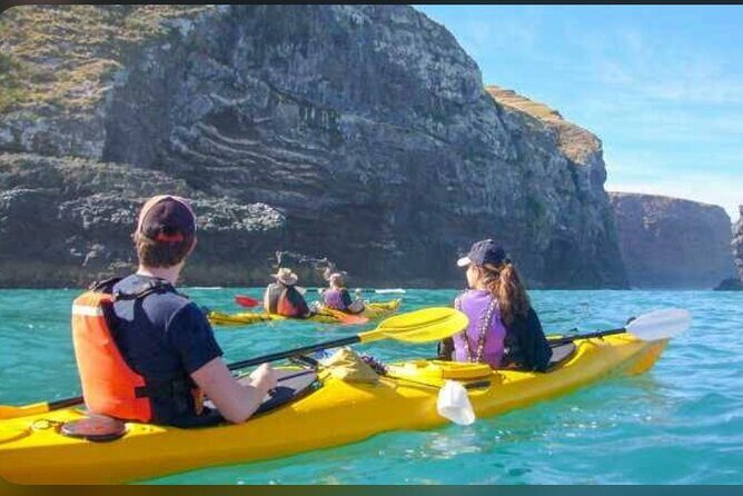 Private Akaroa Day Tour From Christchurch - Authentic Experiences and Traveler Feedback