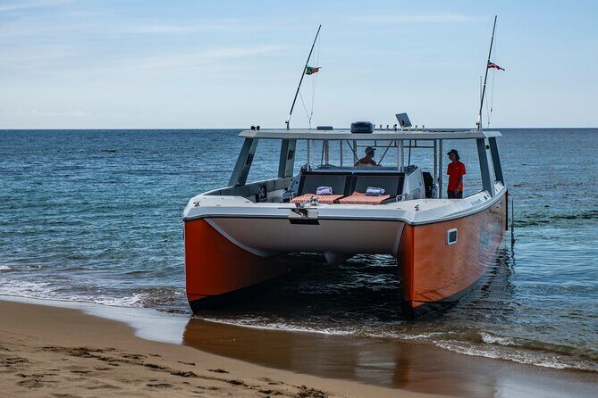 Private Luxury Full day Boat Charter With Lunch - Who Should Consider This Tour?