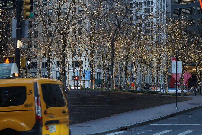 Private New York Downtown Highlights Half Day Tour - Practical Considerations