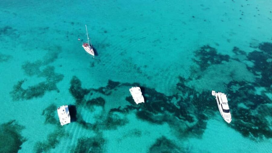 Punta Cana: Catalina Island Snorkeling and lunch Day Trip - Diving Into the Details: The Value and Practicalities