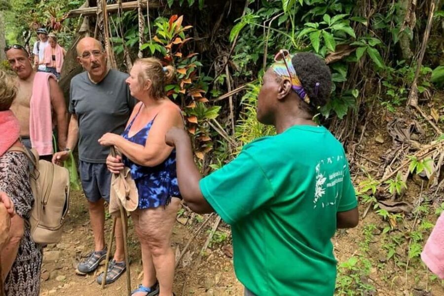 Saint Lucia: Soufriere Volcano Experience - What Travelers Say