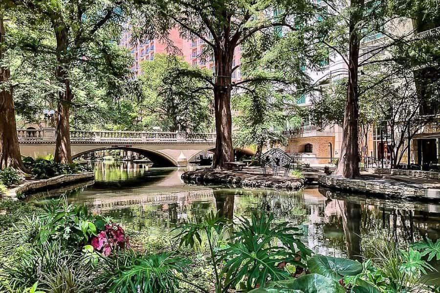 San Antonio: Alamo, River & Cathedral Legends Walk - Who Should Book This Tour?