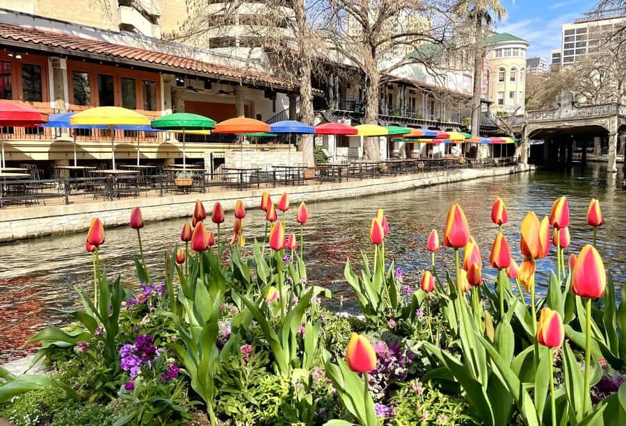 San Antonio: Riverwalk and Downtown Guided Walking Tour - Final Thoughts