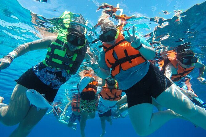 Shared Sky Snorkeling in Cozumel - Itinerary Breakdown: What to Expect