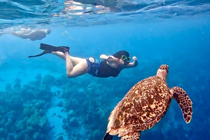 Snorkel Adventure at Bonaire Marine Park - A Detailed Look at the Snorkel Adventure