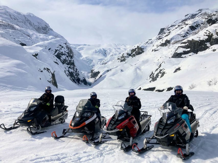 Snowmobile Classic Tour in Kenai Fjords National Park - Who Will Love This Tour?