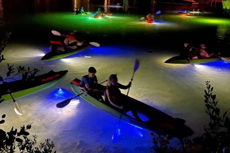 St. Pete Beach: Glass Bottom Kayak Fish Feeding Night Tour - What to Expect on the Tour