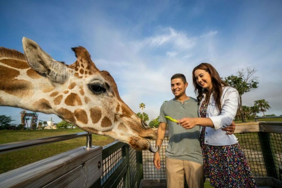 Tampa Bay: Serengeti Safari Tour - The Experience from a Traveler’s Perspective