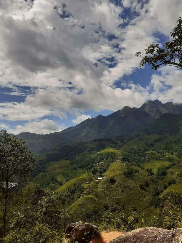 Trekking Sapa 1 Day With Local Guide, Terraced Rice Fields - The Practical Side: Pricing, Duration, and Value