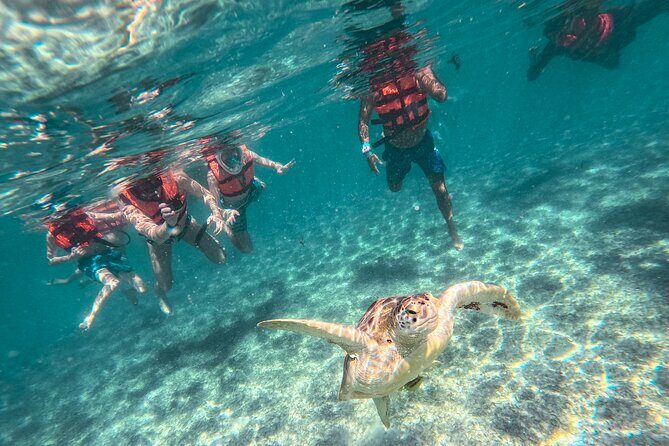 Tulum Ruins, Sea Turtles & Cenote Snorkeling Adventure Tour - Who Will Love This Tour?