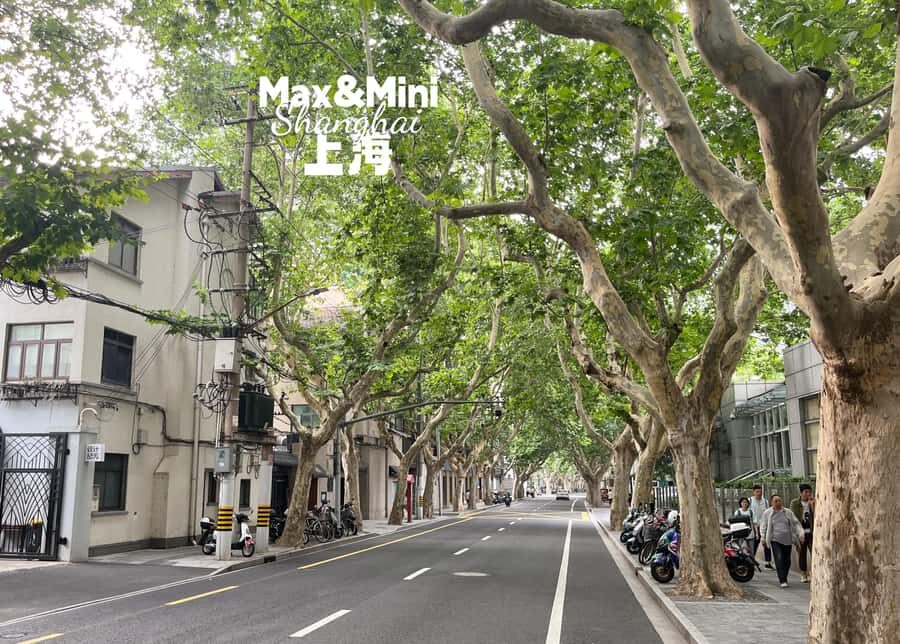 Uncover Shanghai's Heritage in French Concession Hidden Gems - What Makes This Tour Stand Out